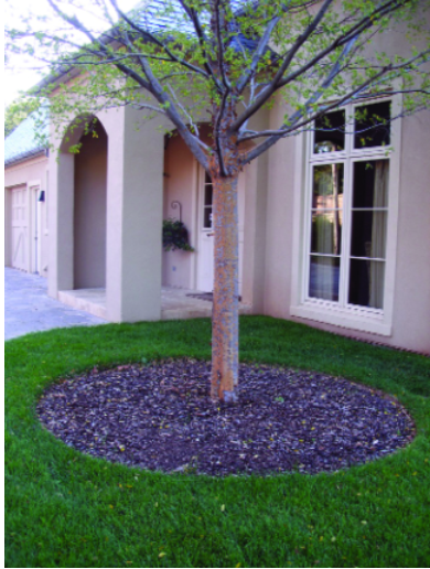 Felder’s Landscaping Tips