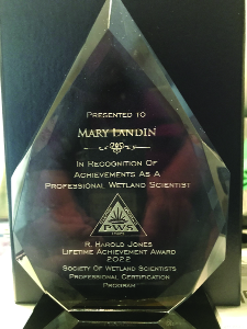 Mary Collins Landin Recognized with Lifetime Achievement Award additional image