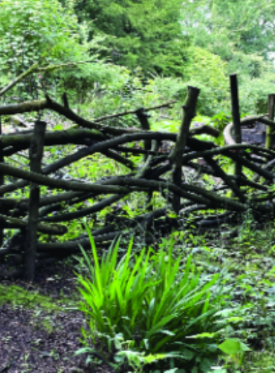 Felder’s Fence Tips