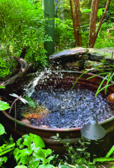 Felder’s Fish Pond