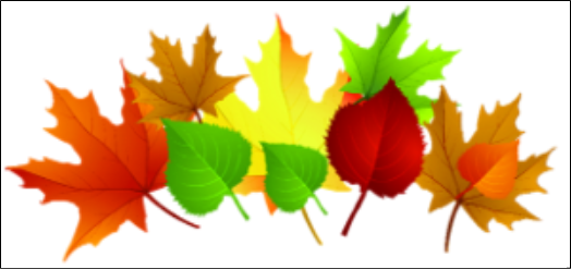 Twists & Turns: Things Happen in the Fall, Y’all!