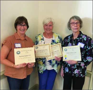 Raymond Garden Club News additional image