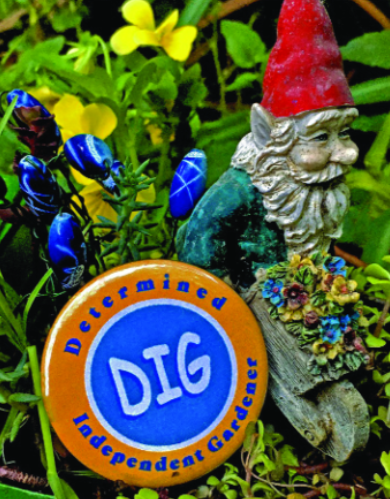 Felder’s Weird Plants