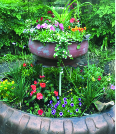 Felder’s Summer Gardening