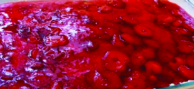 ‘Retro Food’ is a New Trend I Can Embrace