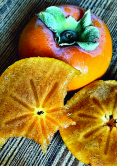 Felder’s Edimental Garden