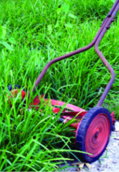 Felder’s Lawn Mowing