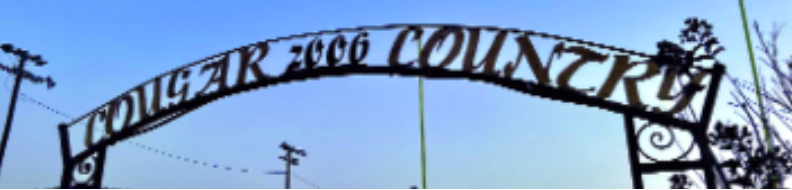 Central Hinds Academy Lady Cougars Soccer Team Advance to State Semi-Finals additional image