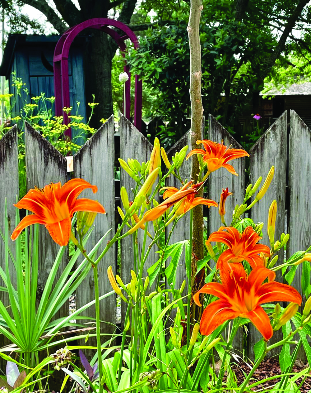 Pass-Along Plants at The MS Agriculture Museum