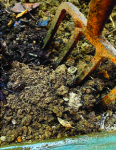 Felder’s Digging Fork