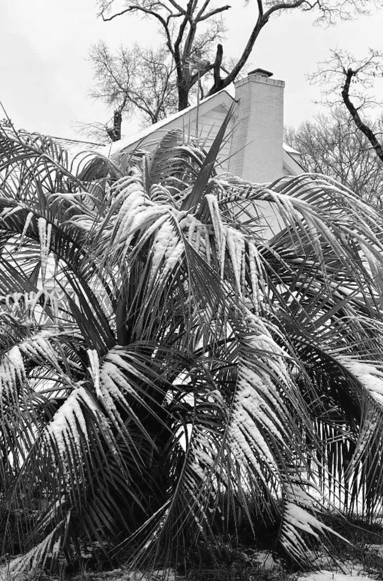 Felder's Silver Linings