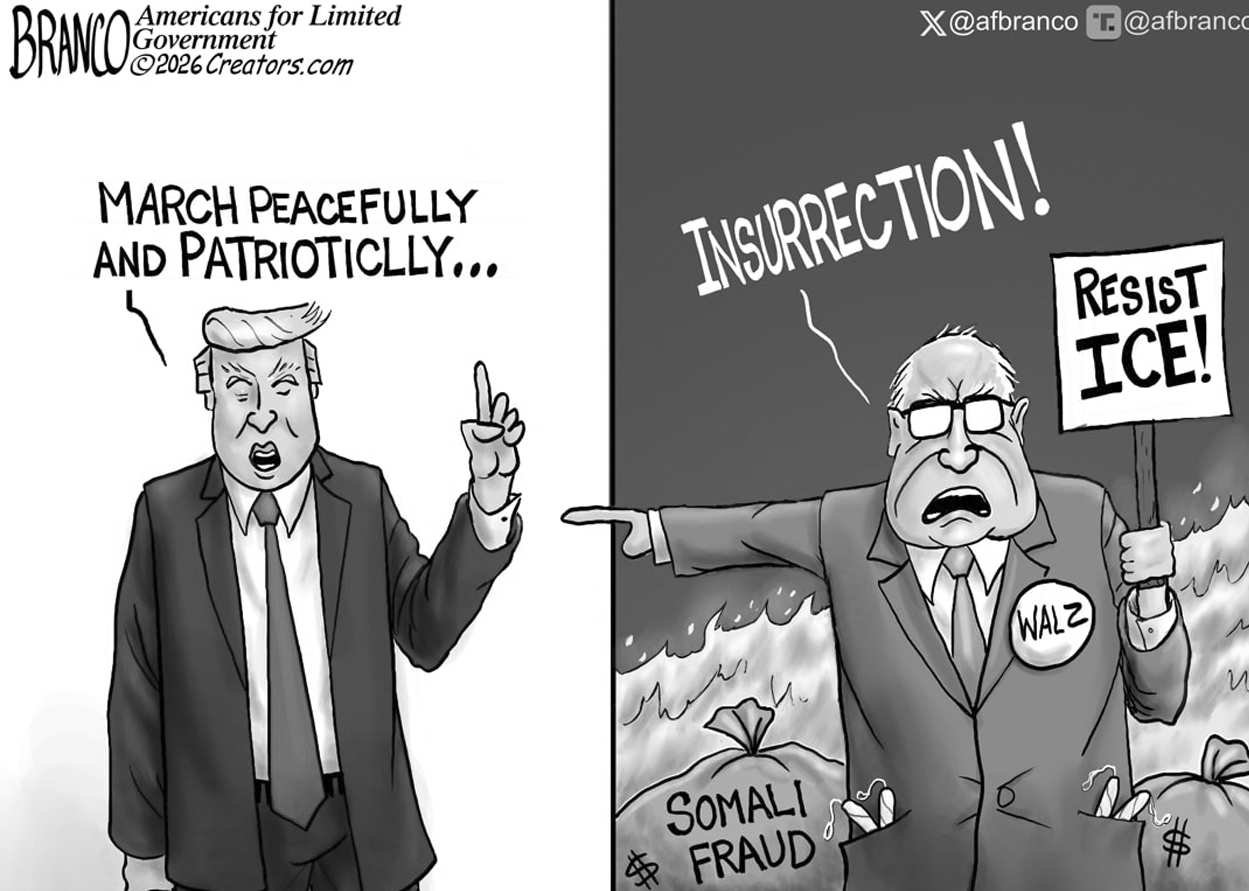 Politicians Make Things Worse