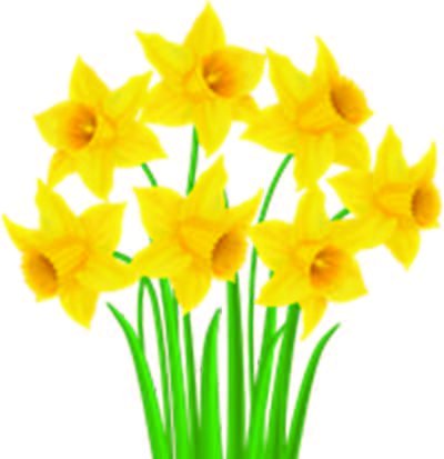 Twists & Turns: Why Do We Love Flowers?