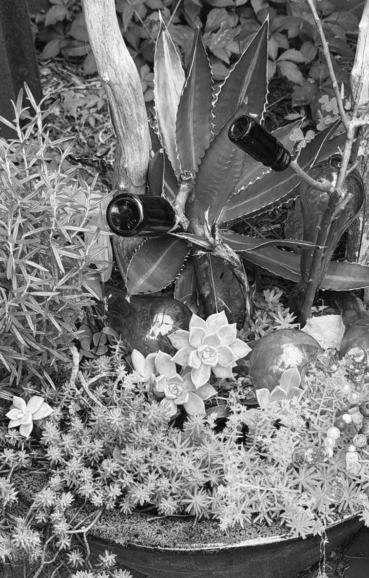 FELDER'S CREATIVE GARDENING