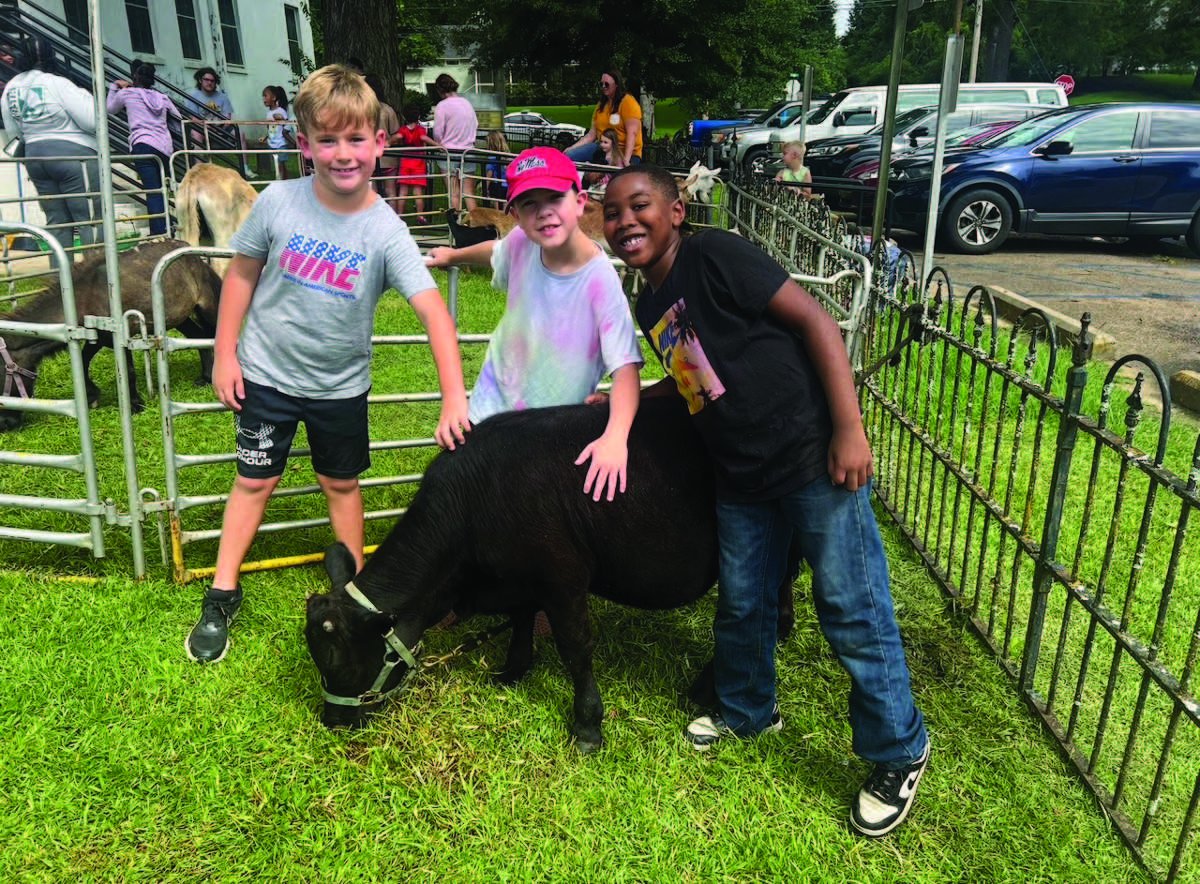 Farmyard Fun at the Library