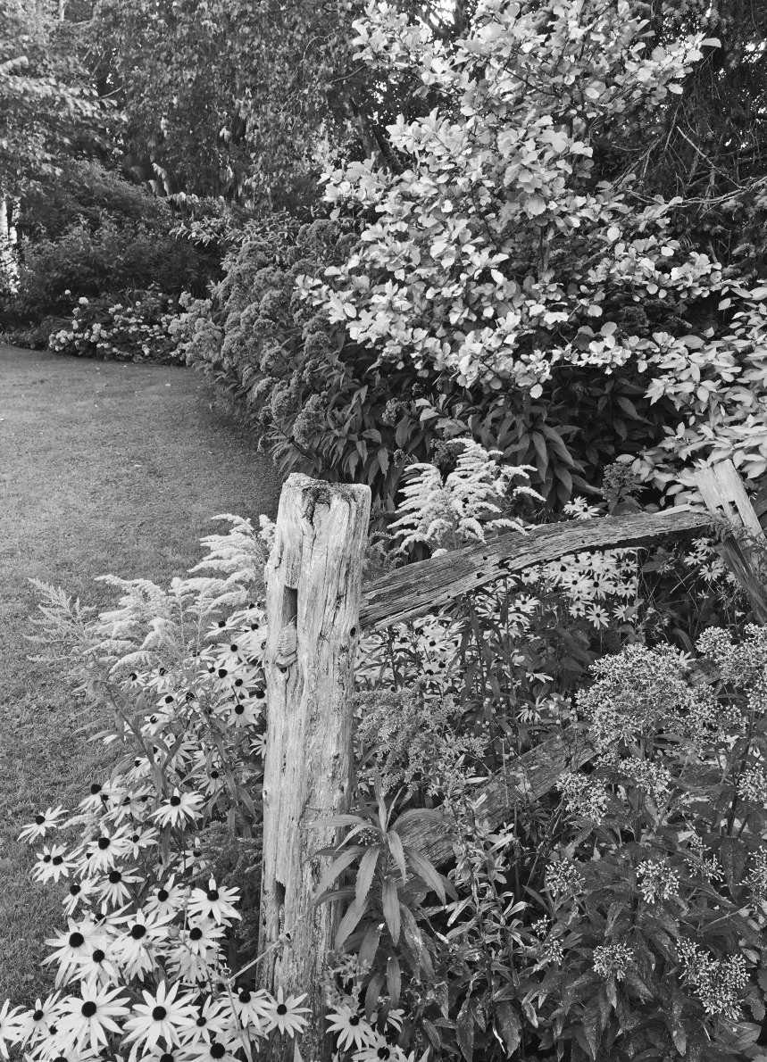 Felder's Tidy Native Garden