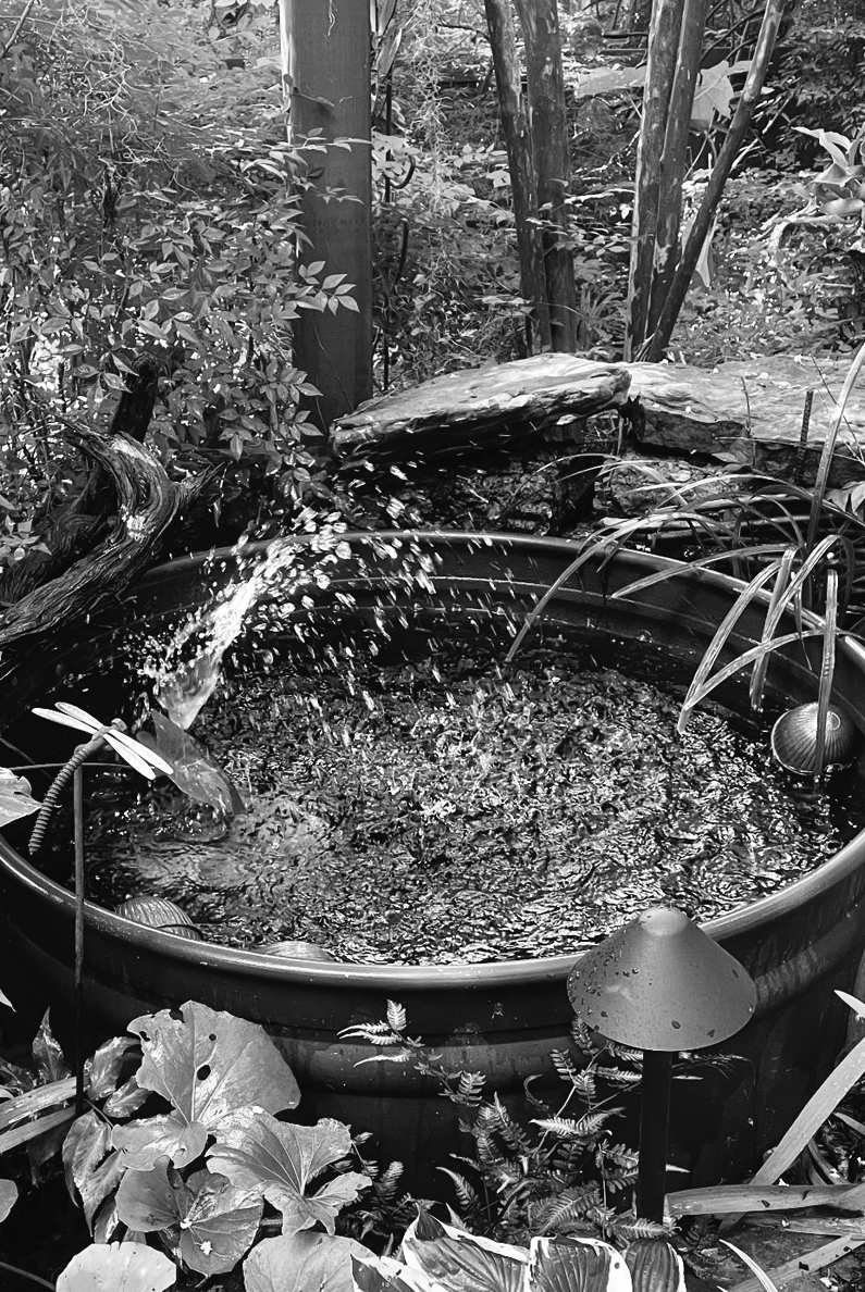 Felder's Garden Magic: Fire & Water