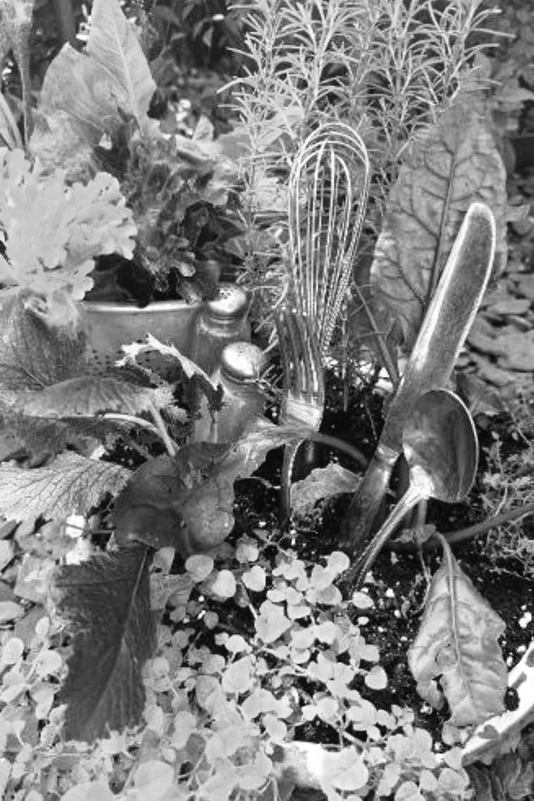 Felder's Edimental Garden
