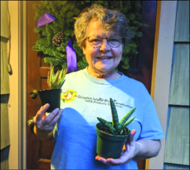 What’s Up Magnolia? Friday Salon