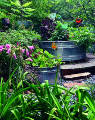 Felder’s Garden Tips