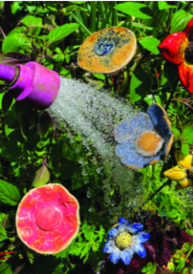 Water Deeply, Not Frequently