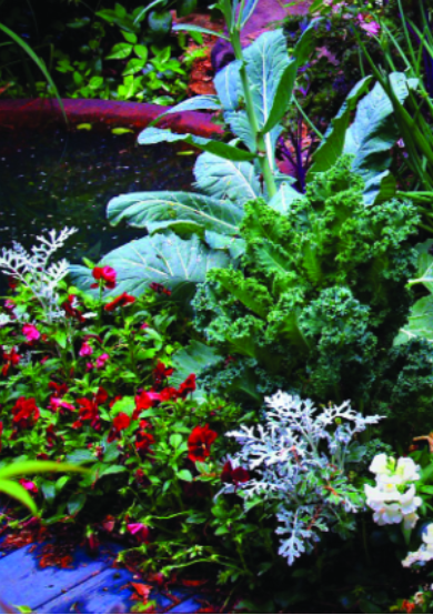 Felder’s Winter Gardening Guide