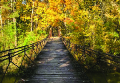 A Hidden Oasis for Camping, Hiking & Relaxing is Closer Than you Think