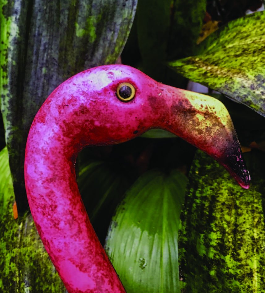 Southernisms: Caskets, Coffins and Coffee Cans