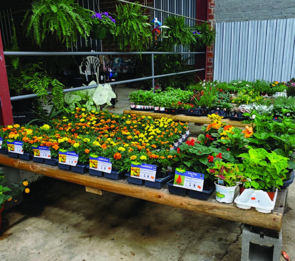 Container Gardening is a Winner for Fall Landscapes