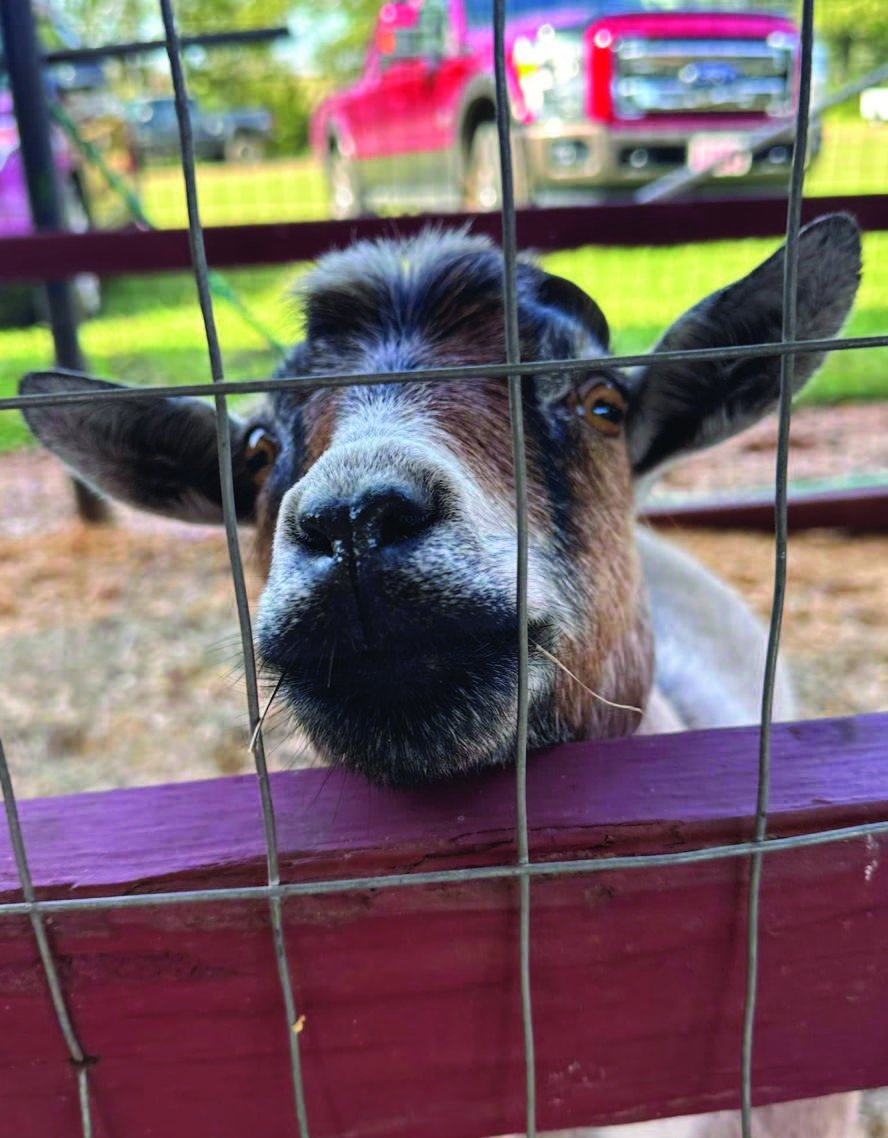 Twists & Turns: A Bit of Year End Tidying Up