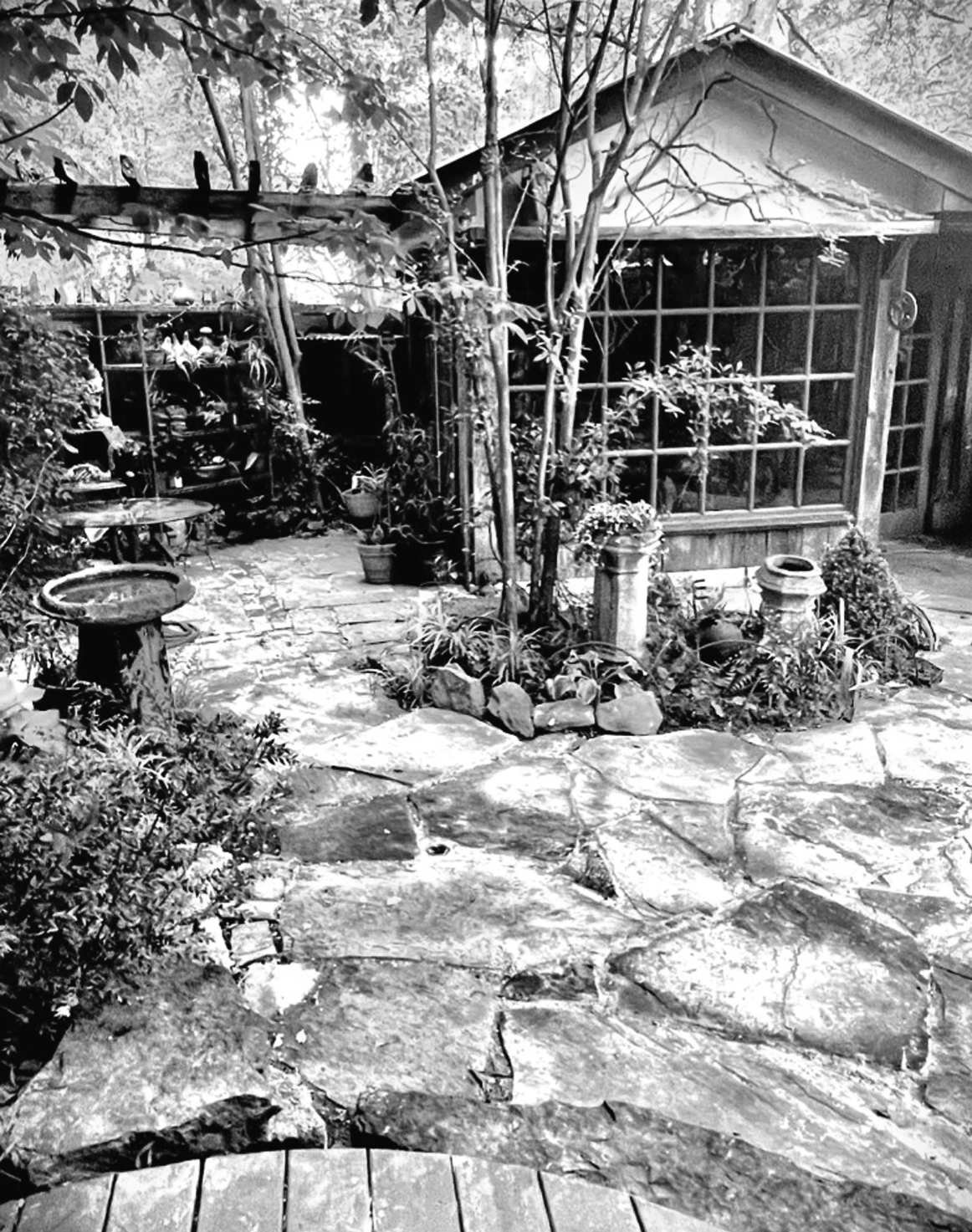 Felder's Garden Goals