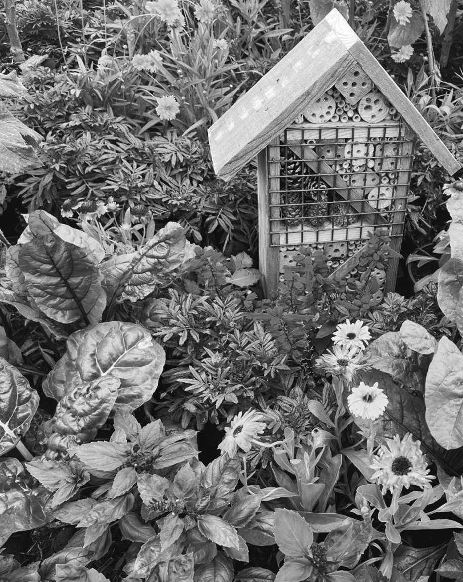 Felder's Chaos Gardening