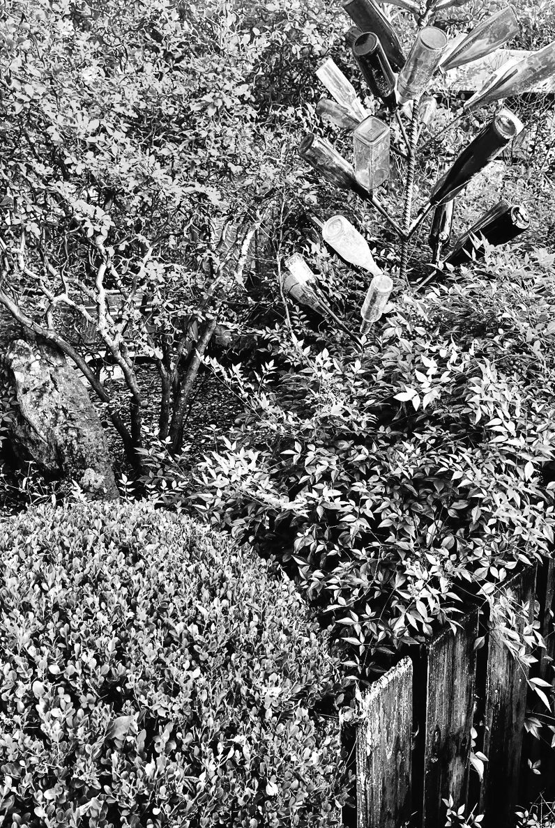 Felder's Pruning Guide