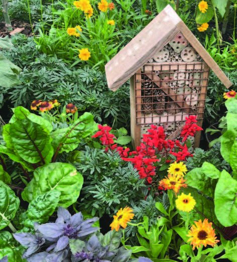 Modern Medicine Meets Rural Reality: Why Local Hospitals Matter