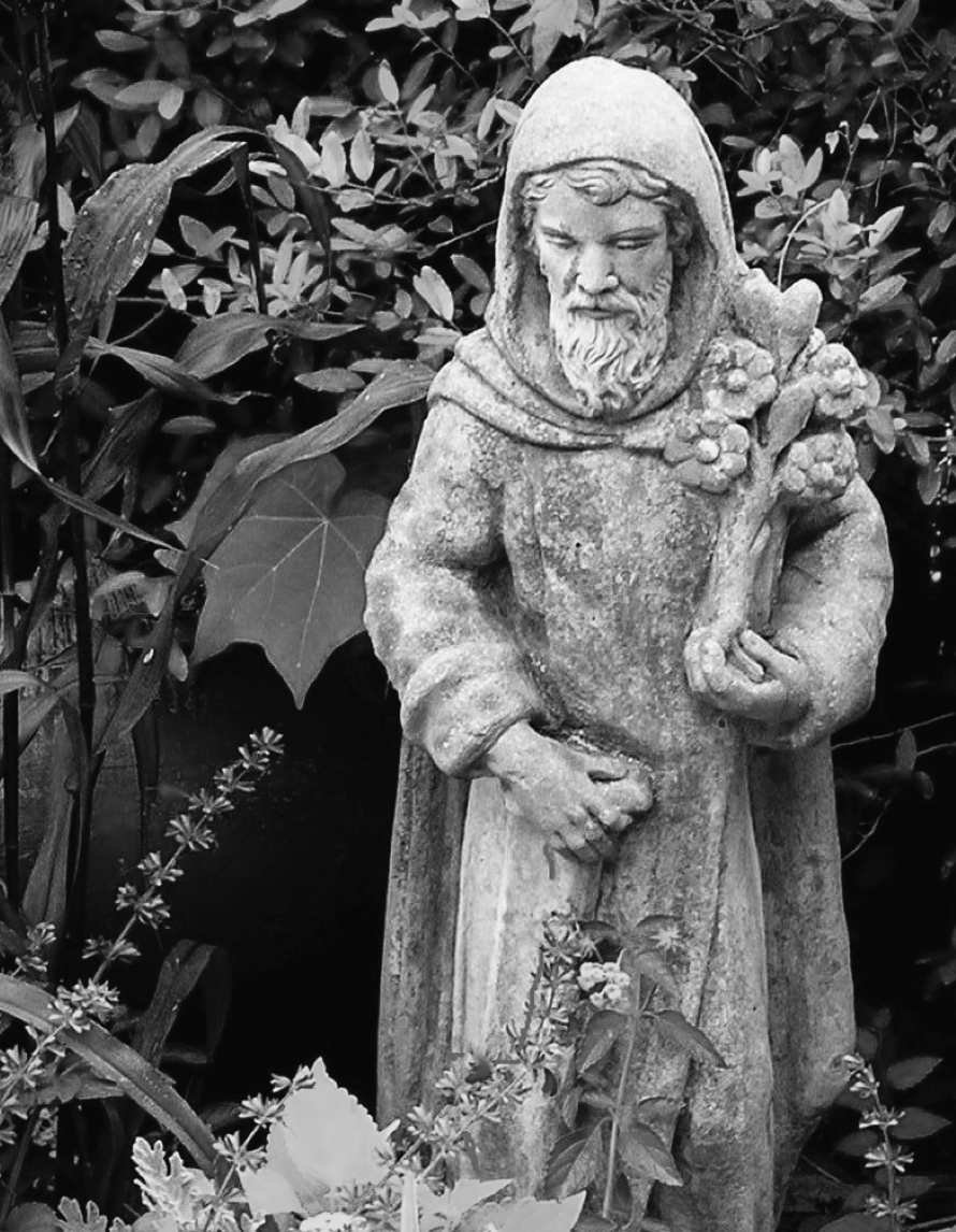 Felder's Garden Guardians