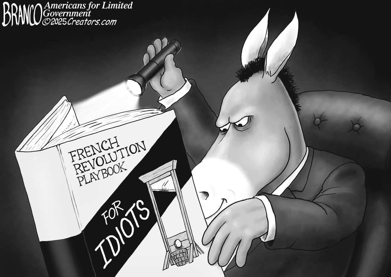 Political Money-Grab