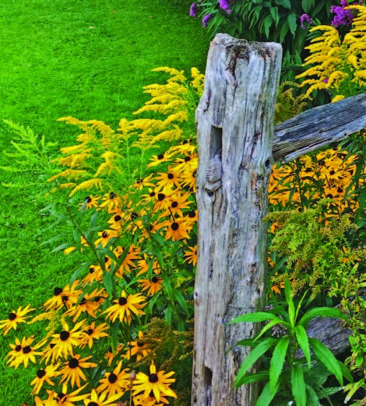 That Box of Chocolates