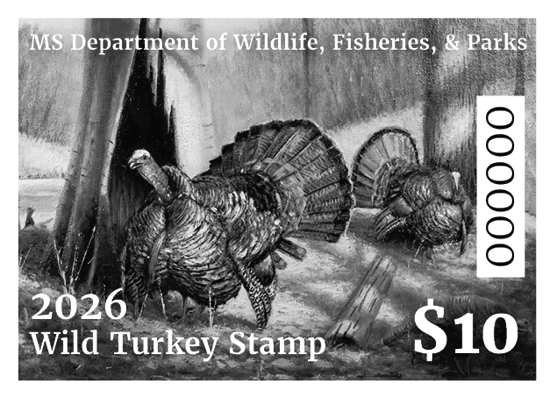 Felder's Christmas Cactus