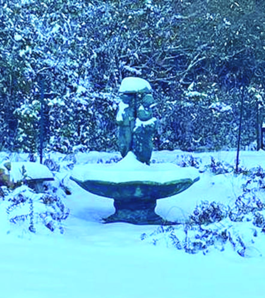 Carolyn Dillon, Longtime Editor & Publisher of The Tylertown Times, Passes Away