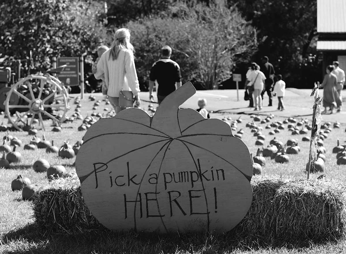 Bears Unable to Finish Strong Outing, Fall at No. 5 Gulf Coast