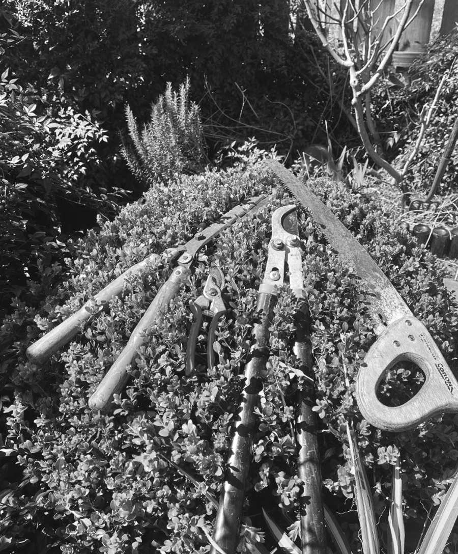 Felder's Essential Pruning Tools