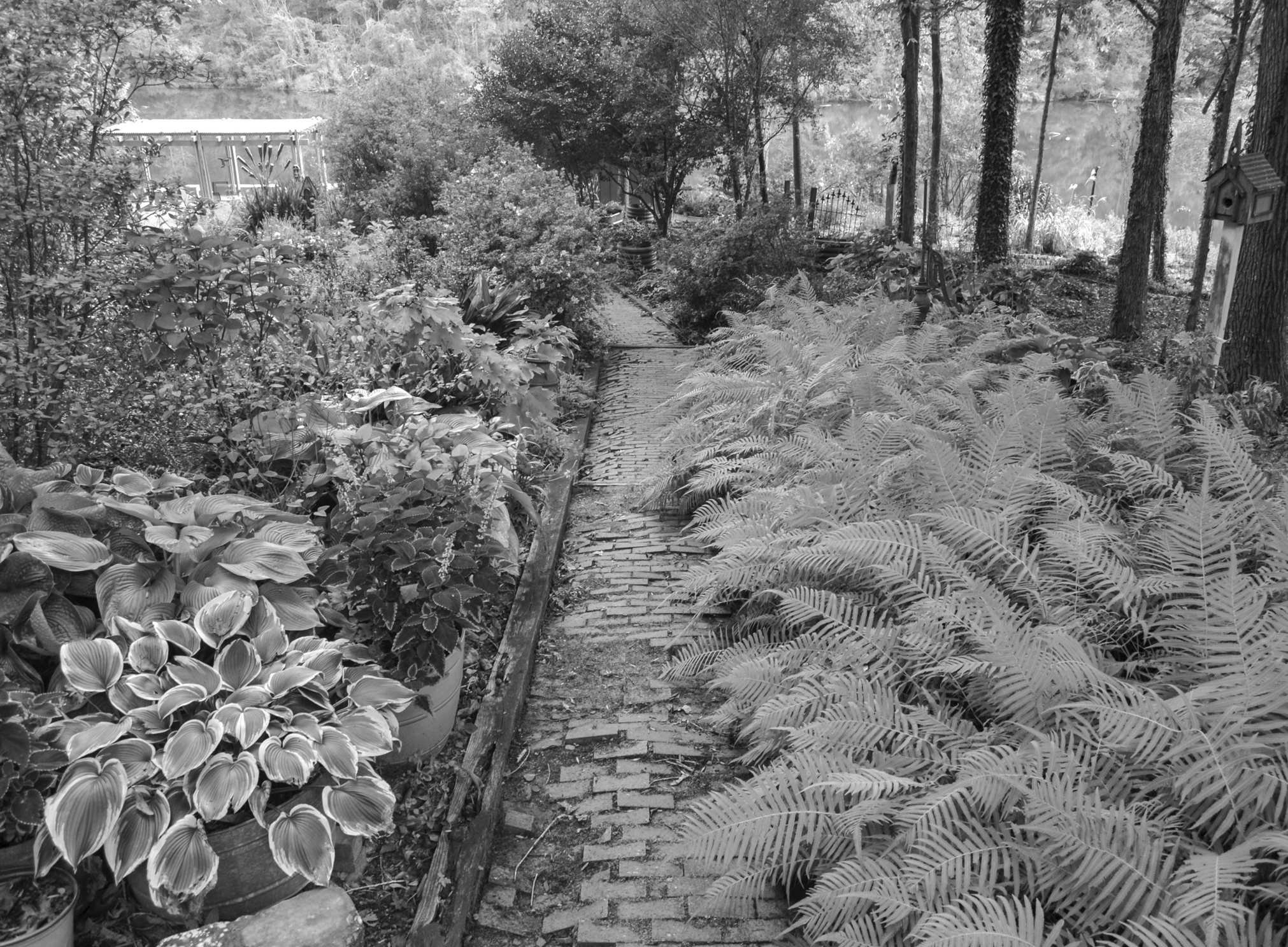 MSDH Celebrates Rural Health Day