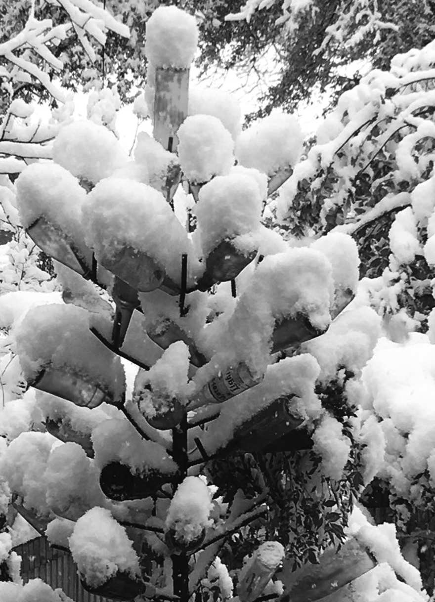 Felder's Seasonal Lighting