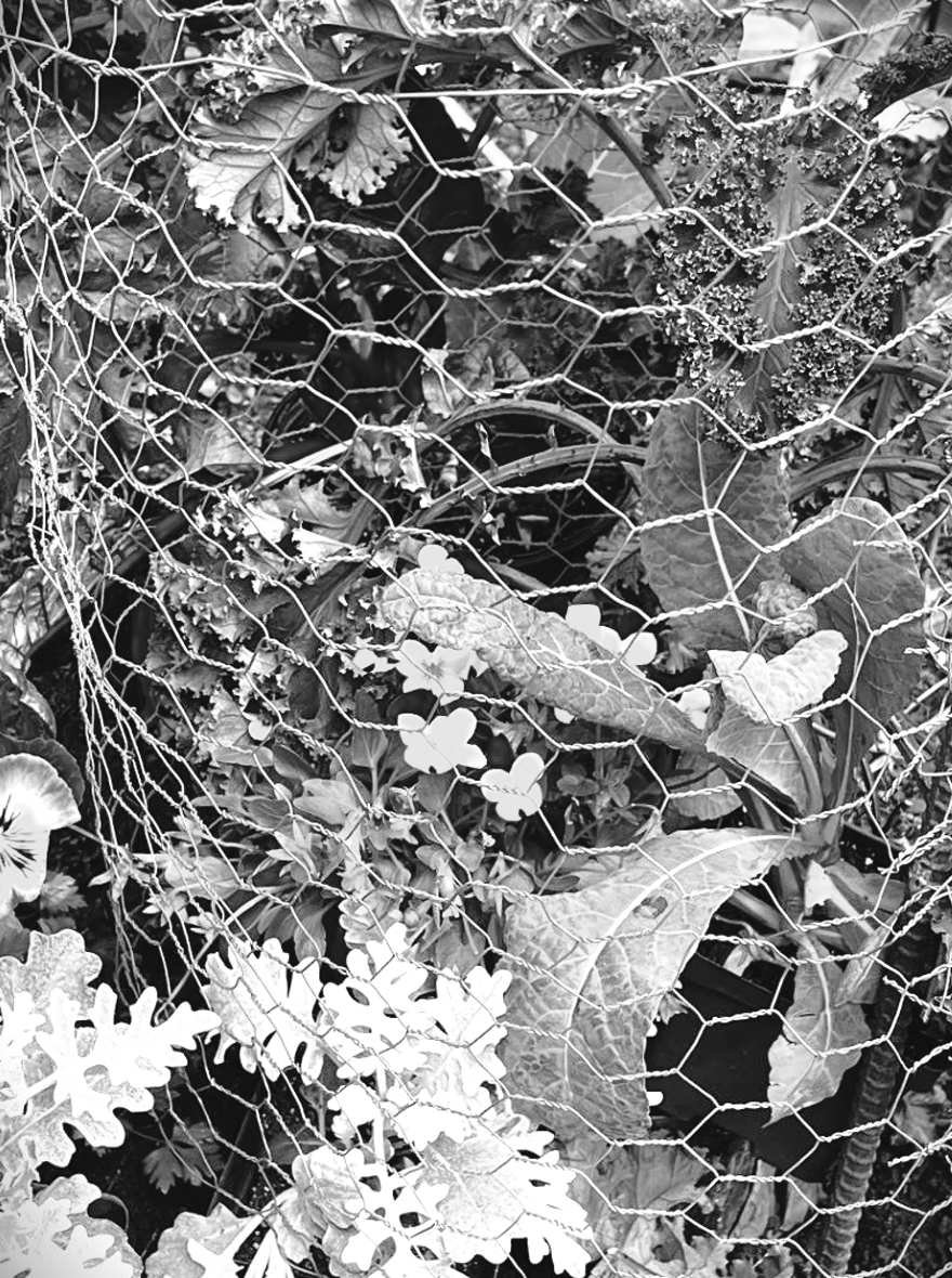 Felder Fixes Fall Problems