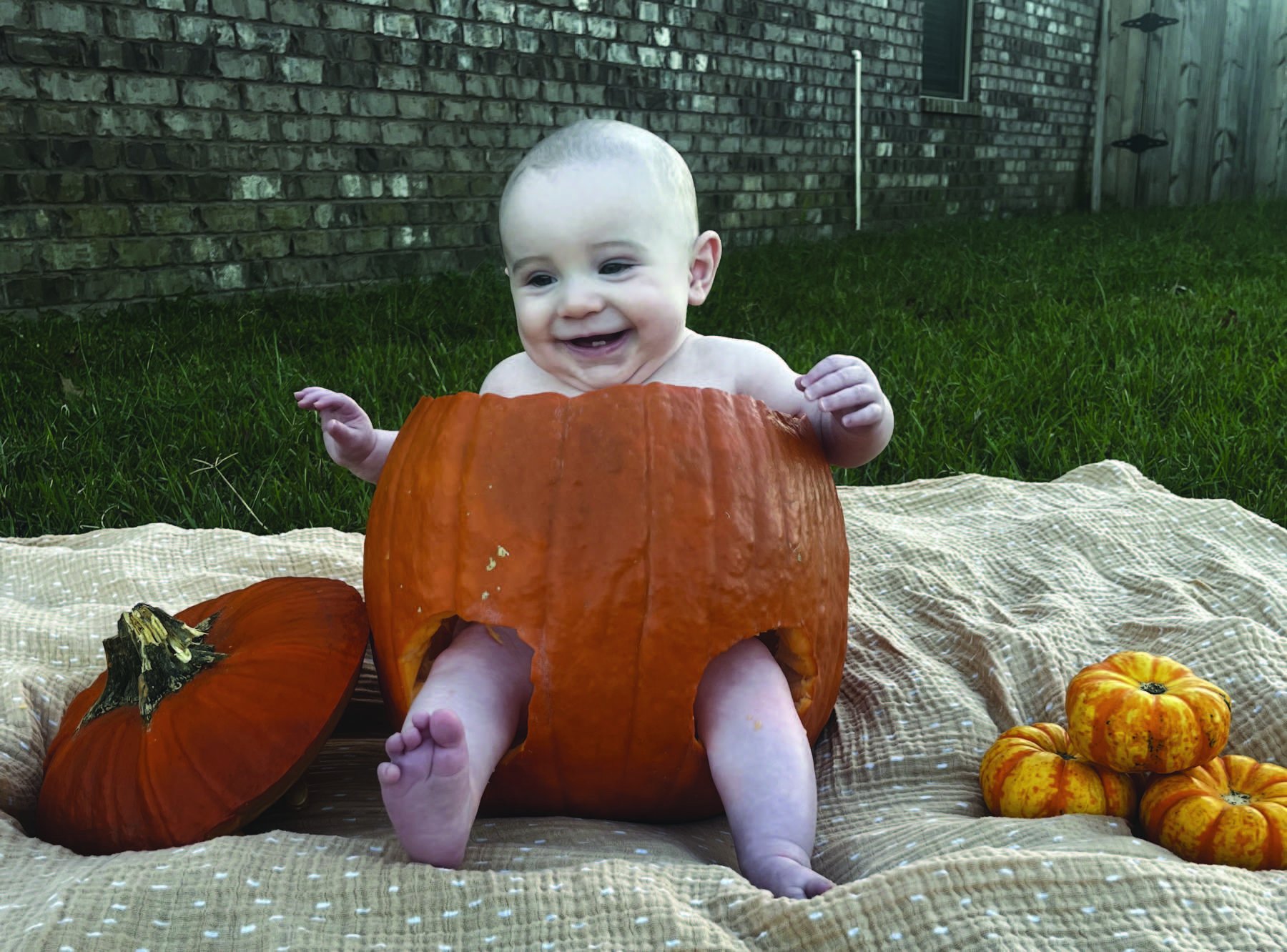 Rebels Rise, Coach Bolts: KIFFIN LEAVES OLE MISS FOR LSU