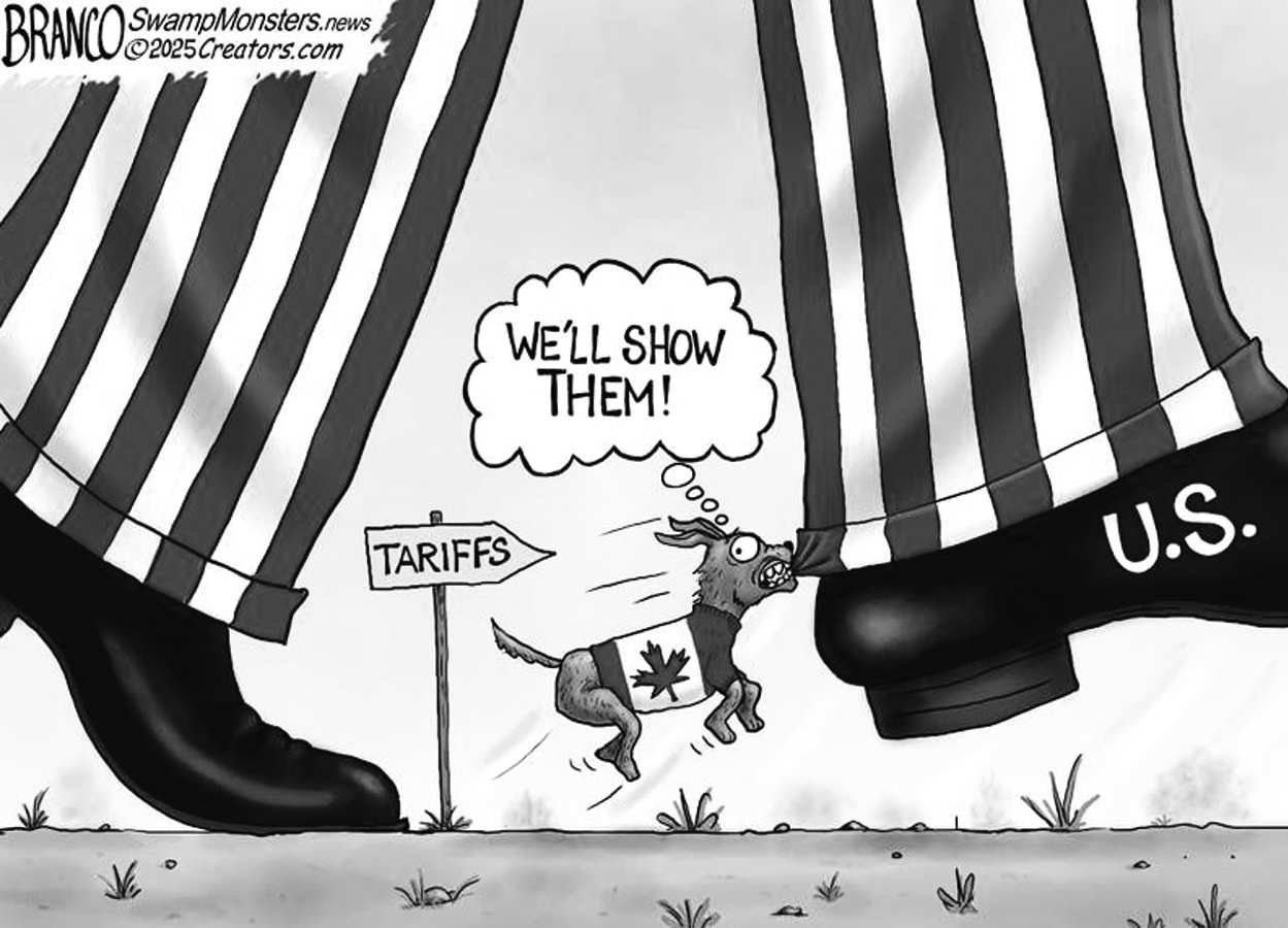 The Chainsaw President