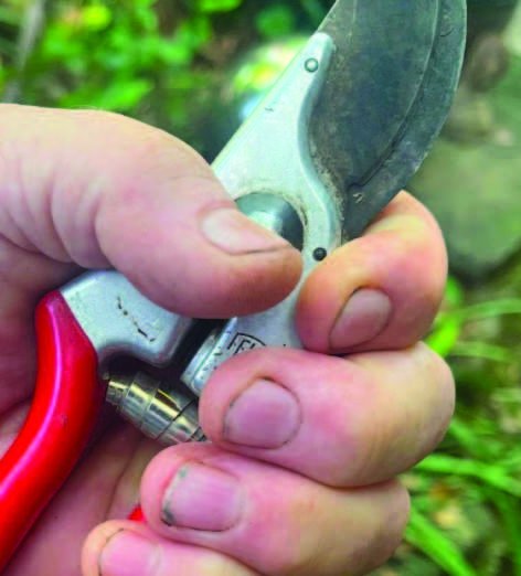 New Family Medicine Residency Physicians Arrive at Southwest