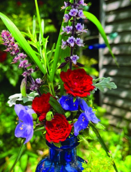 Mississippi Women: Strongest in the Hardest Place