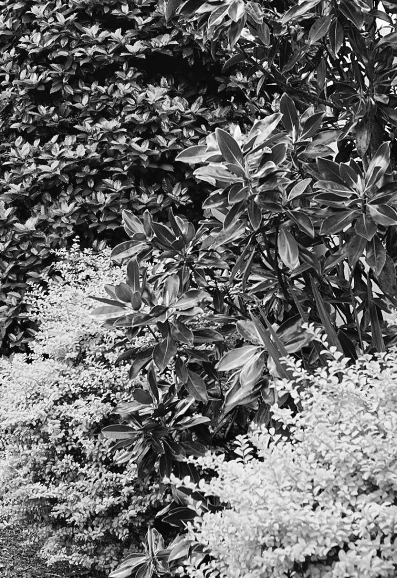 Felder's Third-in-Row Rule