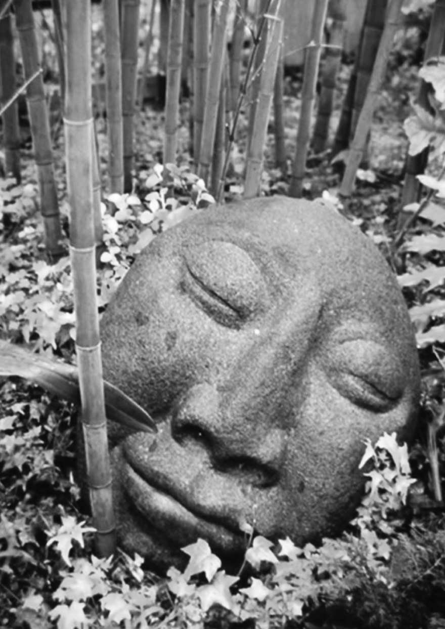 Felder's Garden Rules for Rulebreakers